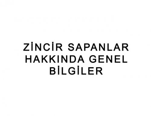 Zincir Sapanlar Hakkında Genel Bilgiler