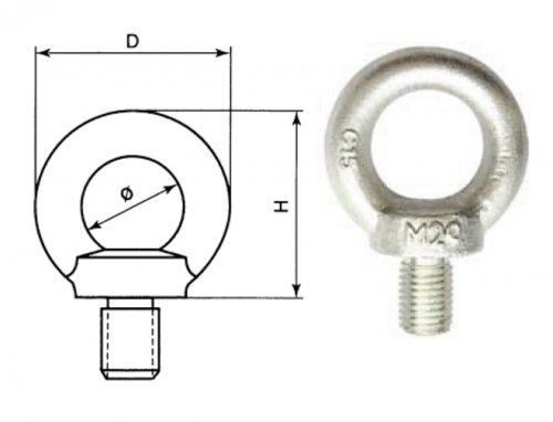 Erkek Aybolt DIN 580