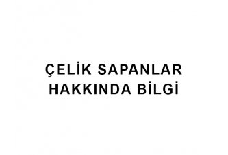 Çelik Sapanlar Hakkında Genel Bilgiler